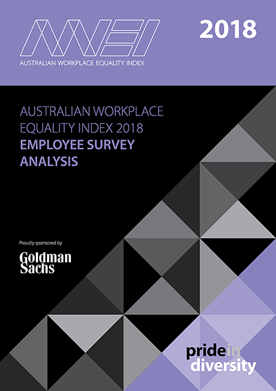 2018 Benchmarking And Survey Publications Australian Workplace Equality Index 3088